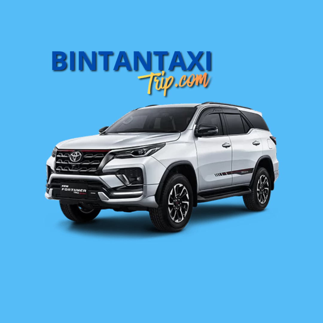 CAR 7 SEATER - 4 HOURS